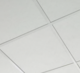 screenshot 2026 02 25 042504